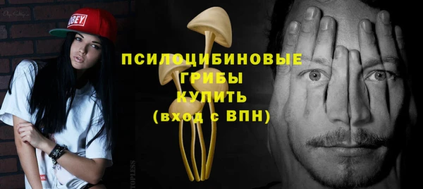 PSILOCYBIN Краснослободск