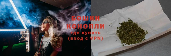 сатива Кукмор