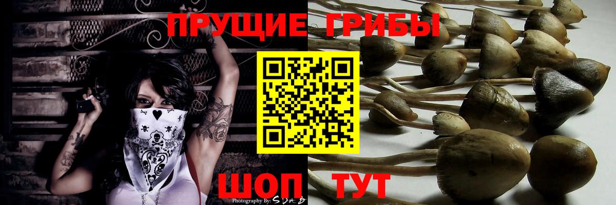 Малгобек  Псилоцибиновые грибы ЛСД  Псилоцибиновые грибы Psilocybe  Вход с VPN 