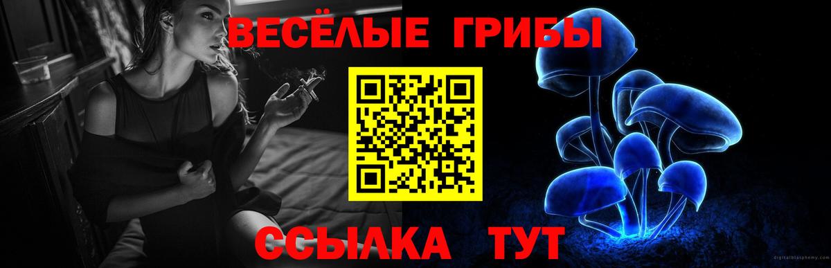 Псилоцибиновые грибы Magic Shrooms Малгобек